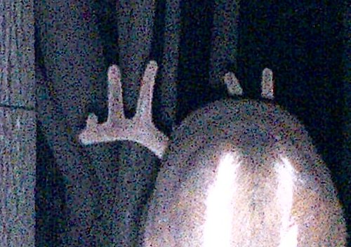 Xtreme 5 grainy picture